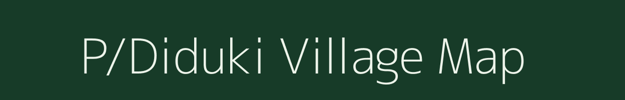 P/Diduki village map in Assam