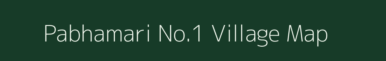 Pabhamari No.1 village map in Assam