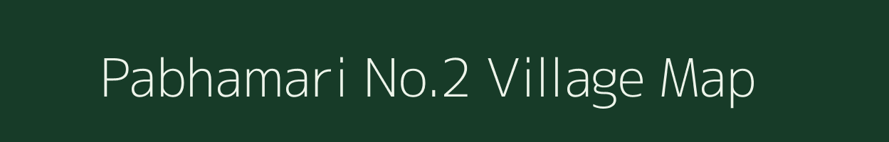 Pabhamari No.2 village map in Assam