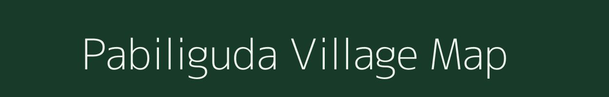 Pabiliguda village map in Odisha