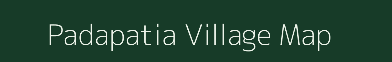 Padapatia village map in Odisha