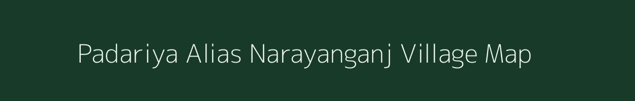 Padariya Alias Narayanganj village map in Madhya Pradesh