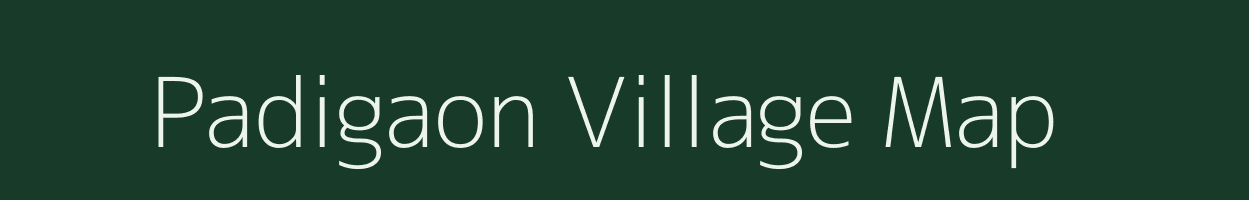 Padigaon village map in Chhattisgarh