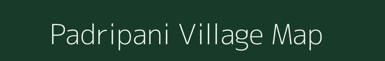 Padripani village map in Madhya Pradesh