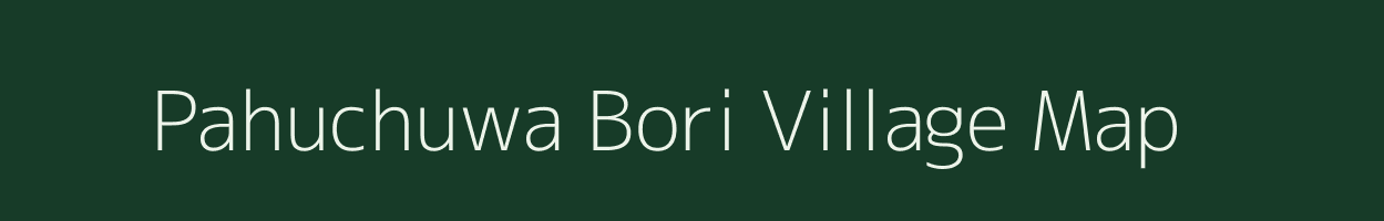 Pahuchuwa Bori village map in Assam