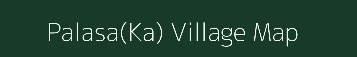 Palasa(Ka) village map in Odisha