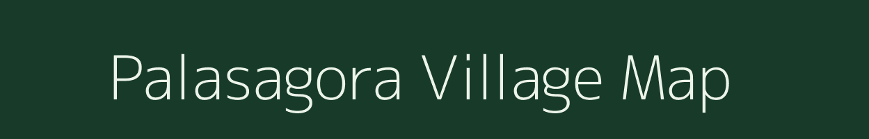 Palasagora village map in Odisha