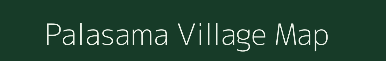 Palasama village map in Odisha