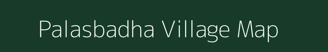 Palasbadha village map in Odisha