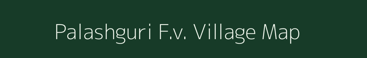 Palashguri F.v. village map in Assam