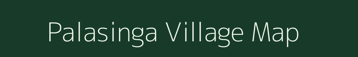 Palasinga village map in Odisha