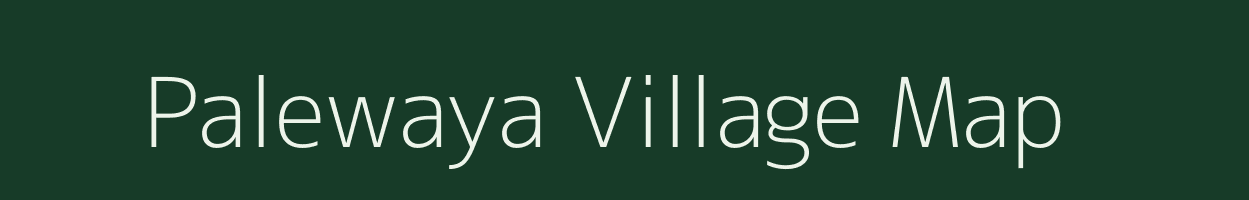 Palewaya village map in Chhattisgarh