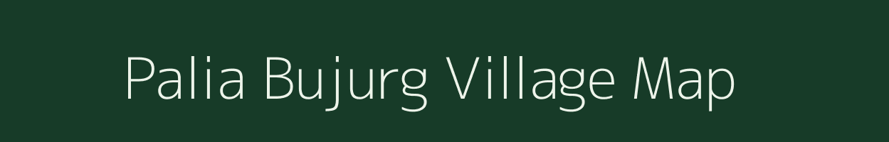 Palia Bujurg village map in Uttar Pradesh