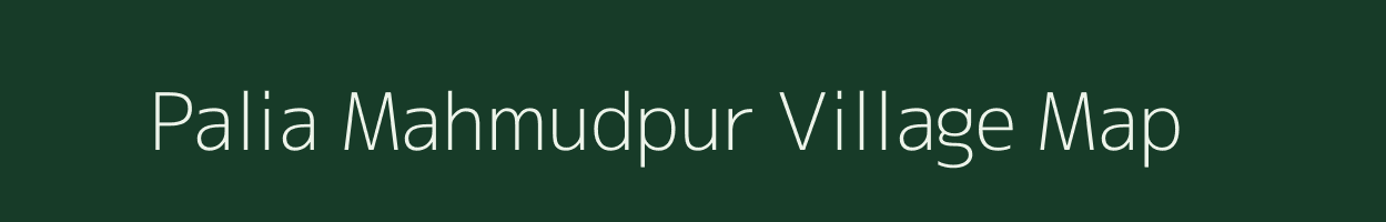 Palia Mahmudpur village map in Uttar Pradesh