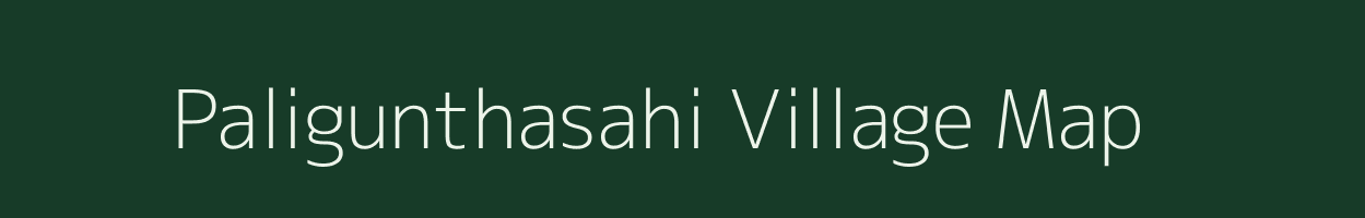 Paligunthasahi village map in Odisha