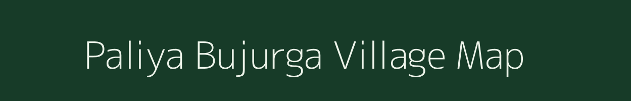 Paliya Bujurga village map in Uttar Pradesh