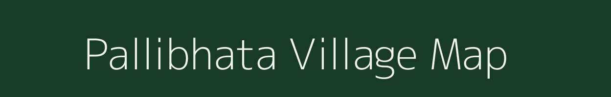 Pallibhata village map in Chhattisgarh