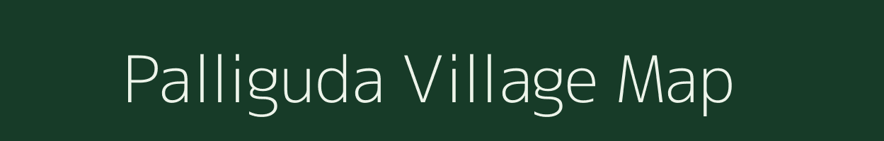 Palliguda village map in Odisha