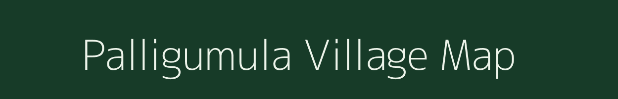 Palligumula village map in Odisha