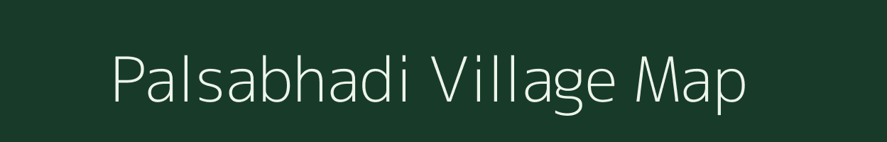 Palsabhadi village map in Chhattisgarh