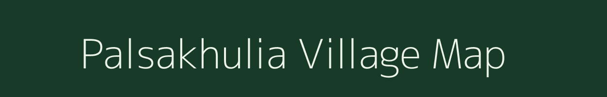 Palsakhulia village map in Odisha