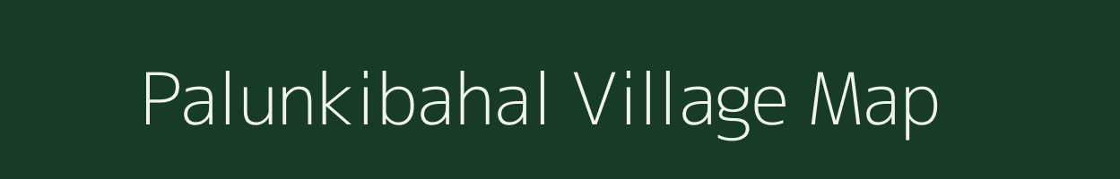 Palunkibahal village map in Odisha