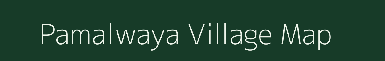 Pamalwaya village map in Chhattisgarh