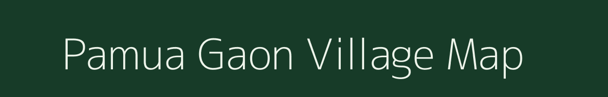 Pamua Gaon village map in Assam