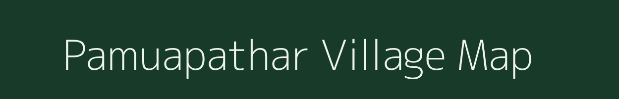 Pamuapathar village map in Assam