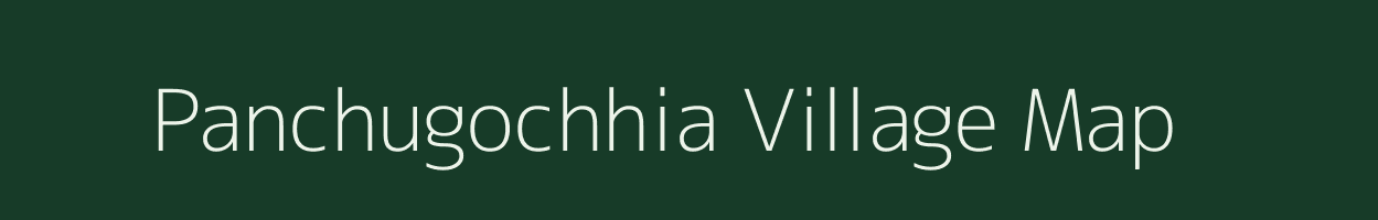 Panchugochhia village map in Odisha