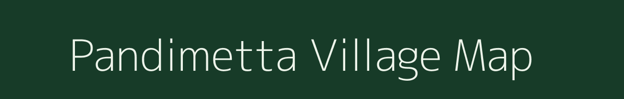 Pandimetta village map in Andhra Pradesh