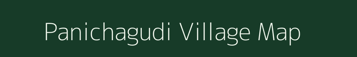 Panichagudi village map in Tamil Nadu