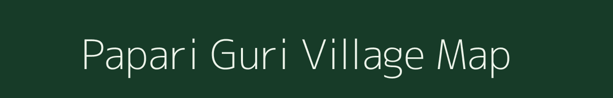 Papari Guri village map in Assam