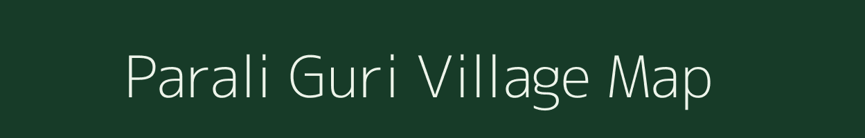 Parali Guri village map in Assam