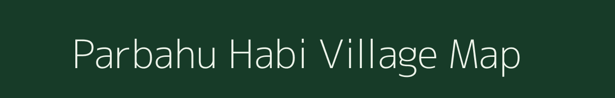 Parbahu Habi village map in Assam