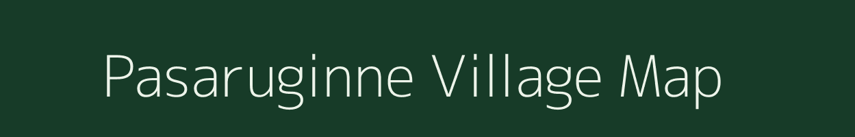 Pasaruginne village map in Andhra Pradesh