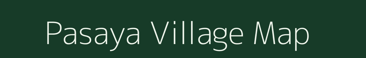 Pasaya village map in Gujarat