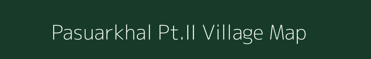 Pasuarkhal Pt.II village map in Assam