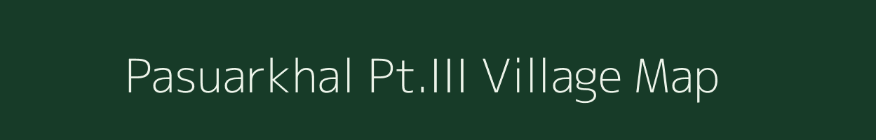 Pasuarkhal Pt.III village map in Assam