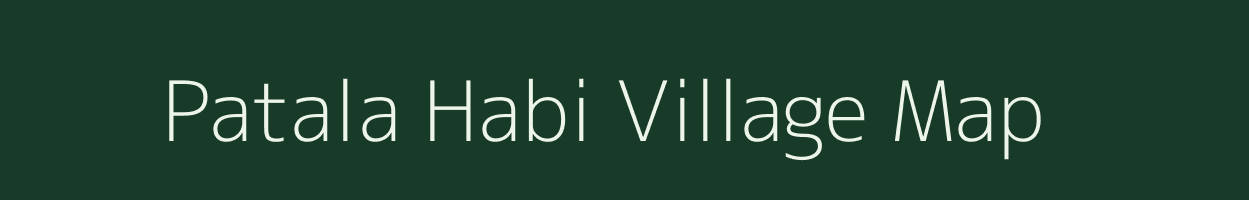 Patala Habi village map in Assam