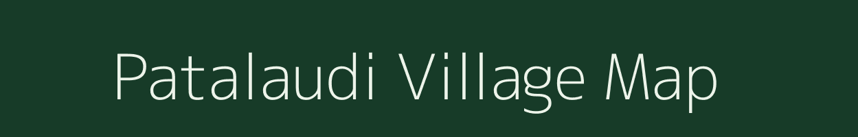 Patalaudi village map in Odisha