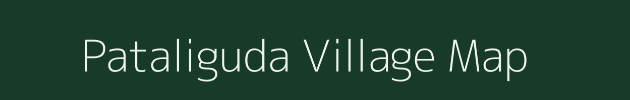 Pataliguda village map in Odisha