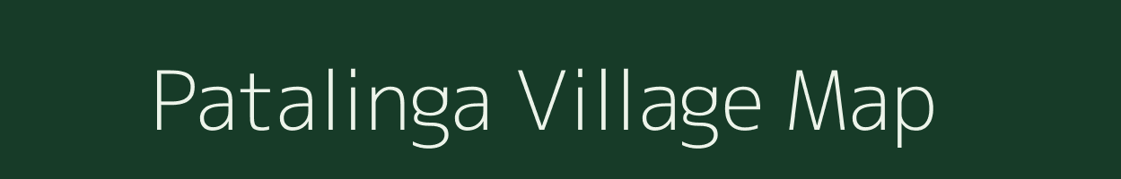 Patalinga village map in Odisha