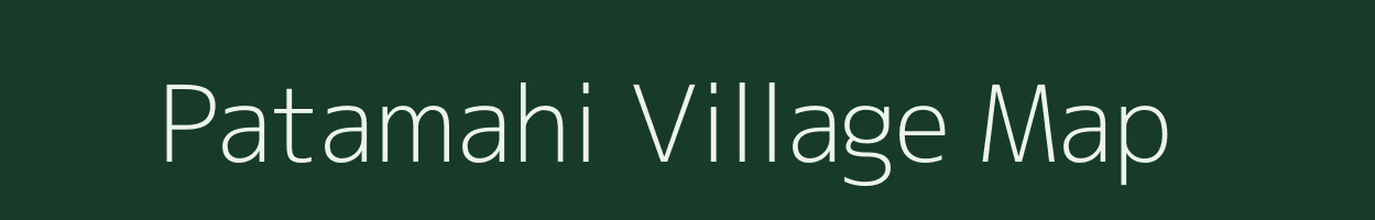 Patamahi village map in Odisha