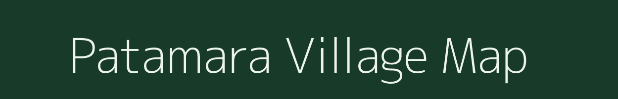 Patamara village map in Odisha