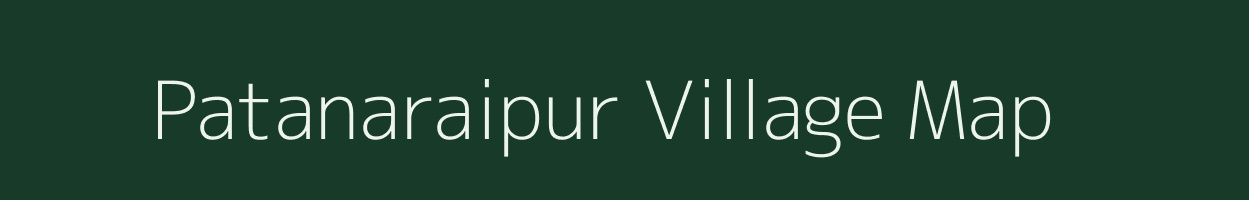 Patanaraipur village map in Odisha