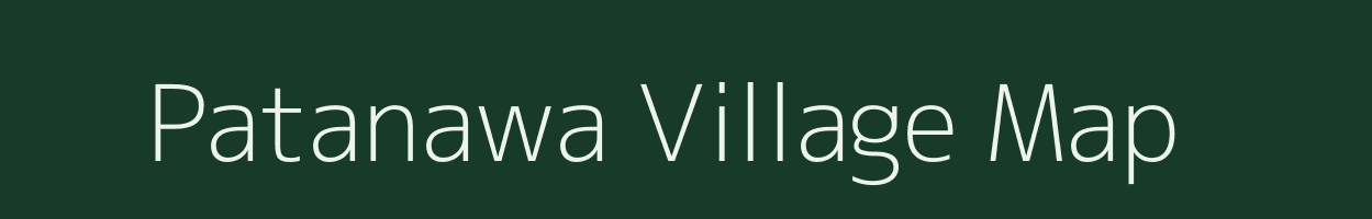 Patanawa village map in Bihar