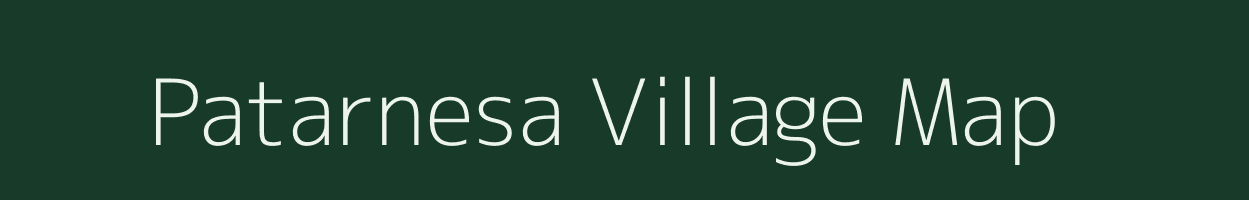 Patarnesa village map in Odisha