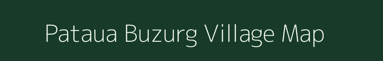 Pataua Buzurg village map in Bihar