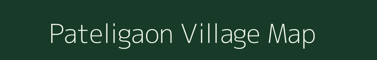 Pateligaon village map in Odisha